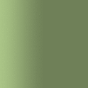 TOUCH UP PAINT PEN AUDI 61M LAUBGRUEN 1990-