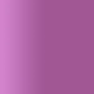 TOUCH UP PAINT PEN RAL 4003 ERIKAVIOLETT