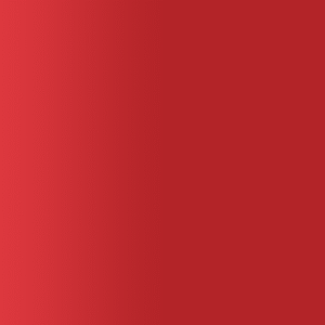 TOUCH UP PAINT PEN RAL 3031 ORIENTROT