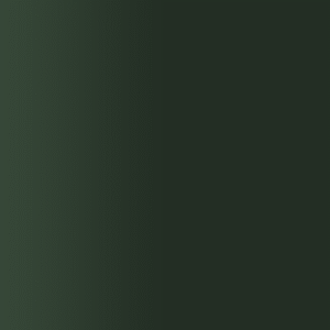 TOUCH UP PAINT PEN AUDI 62S SCHWARZGRUEN 1990-