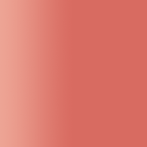 TOUCH UP PAINT PEN RAL 3022 LACHSROT
