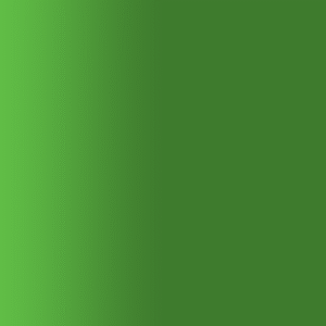 TOUCH UP PAINT PEN AUDI R624 VERKEHRSGRUEN 1997-