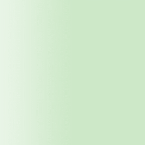 TOUCH UP PAINT PEN AUDI 66N WEISSGRUEN 1990-