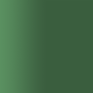 TOUCH UP PAINT PEN AUDI LC5Q AMAZONASGREEN 2002-2006