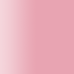 TOUCH UP PAINT PEN RAL 3017 ROSE