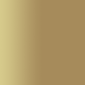 TOUCH UP PAINT PEN SAAB 286 HAZELNUT