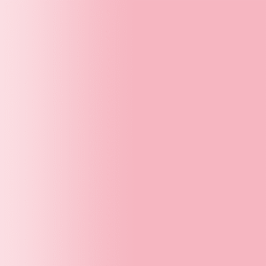 TOUCH UP PAINT PEN RAL 3015 HELLROSA