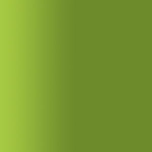 TOUCH UP PAINT PEN AUDI Z6R AVOCADO 2000