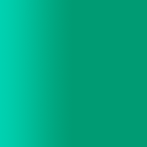 TOUCH UP PAINT PEN AUDI N6Y BERMUDAGRUEN 1983-1988