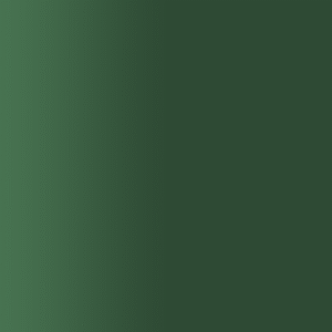 TOUCH UP PAINT PEN AUDI LB6F DARKCOURTGREEN 2004-2006