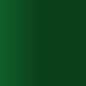 TOUCH UP PAINT PEN AUDI 22W DUNKEL GRUEN 1994-1997