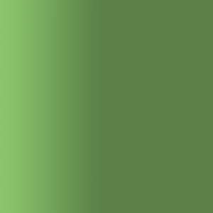 TOUCH UP PAINT PEN AUDI Y6J HOCHLANDGRUEN 2000-2001