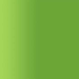 TOUCH UP PAINT PEN AUDI Z6G IRSCHGRUEN 2001