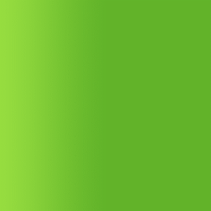 TOUCH UP PAINT PEN AUDI Y6W JAVA GRUEN 1998-2000