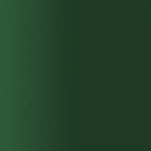 TOUCH UP PAINT PEN AUDI Z6Y DUNKELGRUEN 1982-1985