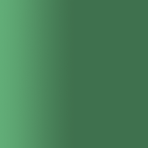 TOUCH UP PAINT PEN AUDI L6Y EVERGRUEN 1995-2000