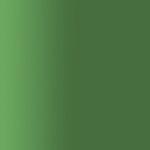 TOUCH UP PAINT PEN AUDI Z6X GOODWOOD GRUEN 1999-2000