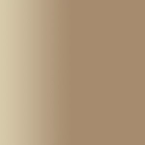 TOUCH UP PAINT PEN SAAB YR06B ANTILOPE BRAUN