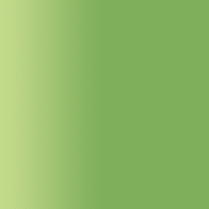 TOUCH UP PAINT PEN AUDI 95C MOOS 1974-1978