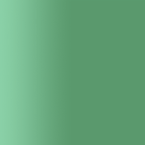 TOUCH UP PAINT PEN AUDI Z6Q MURANOGRUEN 2002