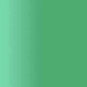 TOUCH UP PAINT PEN AUDI Z6S PIENGRUEN 2000