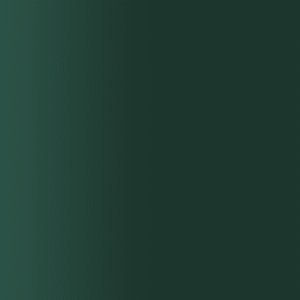 TOUCH UP PAINT PEN AUDI 34U SCHWARZ GRUEN 1988-1992