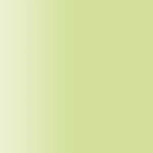 TOUCH UP PAINT PEN AUDI Z6W STEPPENGRAS 1998-1999