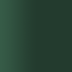 TOUCH UP PAINT PEN AUDI L318 TIEFGRUEN 1955-57