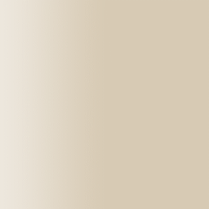 TOUCH UP PAINT PEN AUDI D1V TRAVERTIN 1988-1992