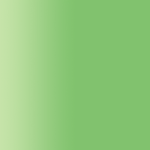 TOUCH UP PAINT PEN AUDI Y6L TROPICGRUEN 1994-1998