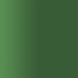 TOUCH UP PAINT PEN AUDI Z6J ZEDERNGRUEN 2001-2002