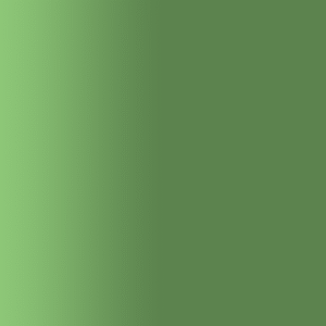 TOUCH UP PAINT PEN AUDI LK6A ONTARIO GREEN 2009-