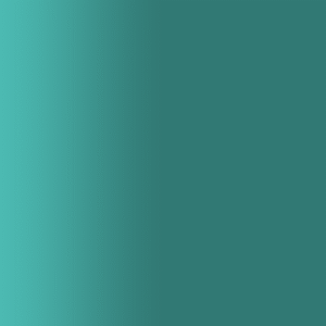 TOUCH UP PAINT PEN AUDI 2A1 DSCHUNGELGRUEN 1999-2003