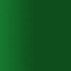 TOUCH UP PAINT PEN AUDI 7T6 DUNKELGRUEN 1994-1999