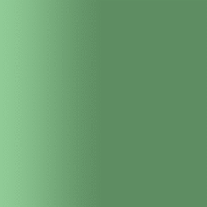 TOUCH UP PAINT PEN AUDI B6N ELEGANCE GRUEN 1996-2001