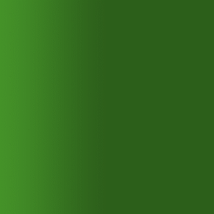 TOUCH UP PAINT PEN AUDI B6C ENGLISCHGRUEN 1994-1999