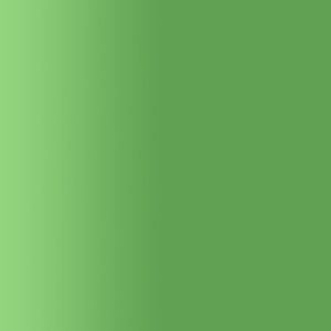 TOUCH UP PAINT PEN AUDI Y6Q FARNGRUEN 1999-2001