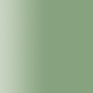 TOUCH UP PAINT PEN AUDI R6V MIGNONGRUEN 2001-2010