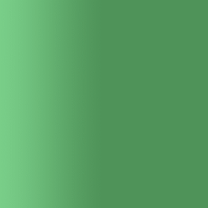 TOUCH UP PAINT PEN AUDI J6A HOLLAND GRUEN 1999-2001