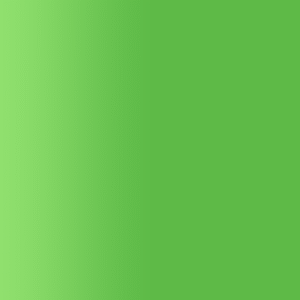 TOUCH UP PAINT PEN AUDI Z6L KAKTUS GRUEN 1996-1999