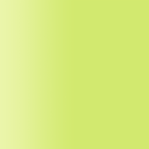 TOUCH UP PAINT PEN AUDI N6C LEMONGRUEN 1994-1999