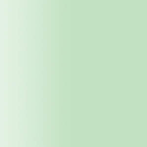 TOUCH UP PAINT PEN AUDI L6F LINTGRUEN 2002-2005