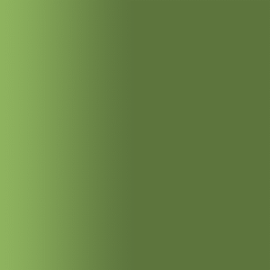 TOUCH UP PAINT PEN AUDI R6X MARAISGRUEN 2001-2010