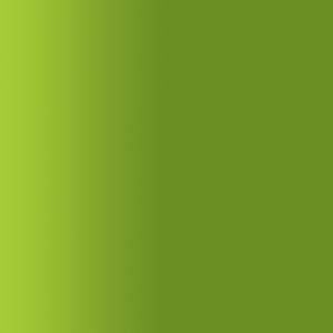 TOUCH UP PAINT PEN AUDI B6Z MONTANA GRUEN 1991-1996