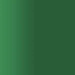 TOUCH UP PAINT PEN AUDI B6W PINIENGRUEN 2000-2005