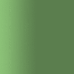 TOUCH UP PAINT PEN AUDI Z6T POMEROL GRUEN 1996-1999