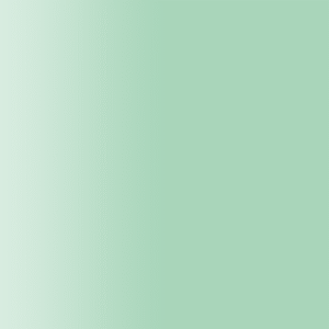 TOUCH UP PAINT PEN AUDI B6P SOFTGRUEN 1994-1999