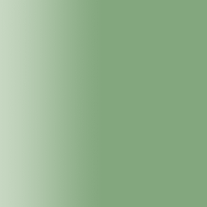 TOUCH UP PAINT PEN AUDI L6P SPANISH GRUEN 1993-1998