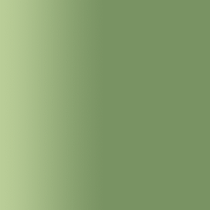 TOUCH UP PAINT PEN AUDI H6Y SPICE GREEN 1998-2002