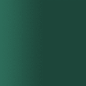 TOUCH UP PAINT PEN AUDI 6N TALISMANGRUEN 1999-2002